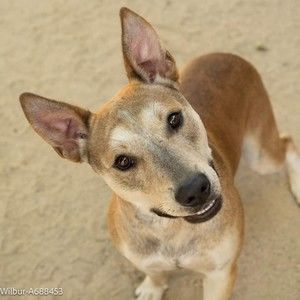 Meet your Posher, Edward